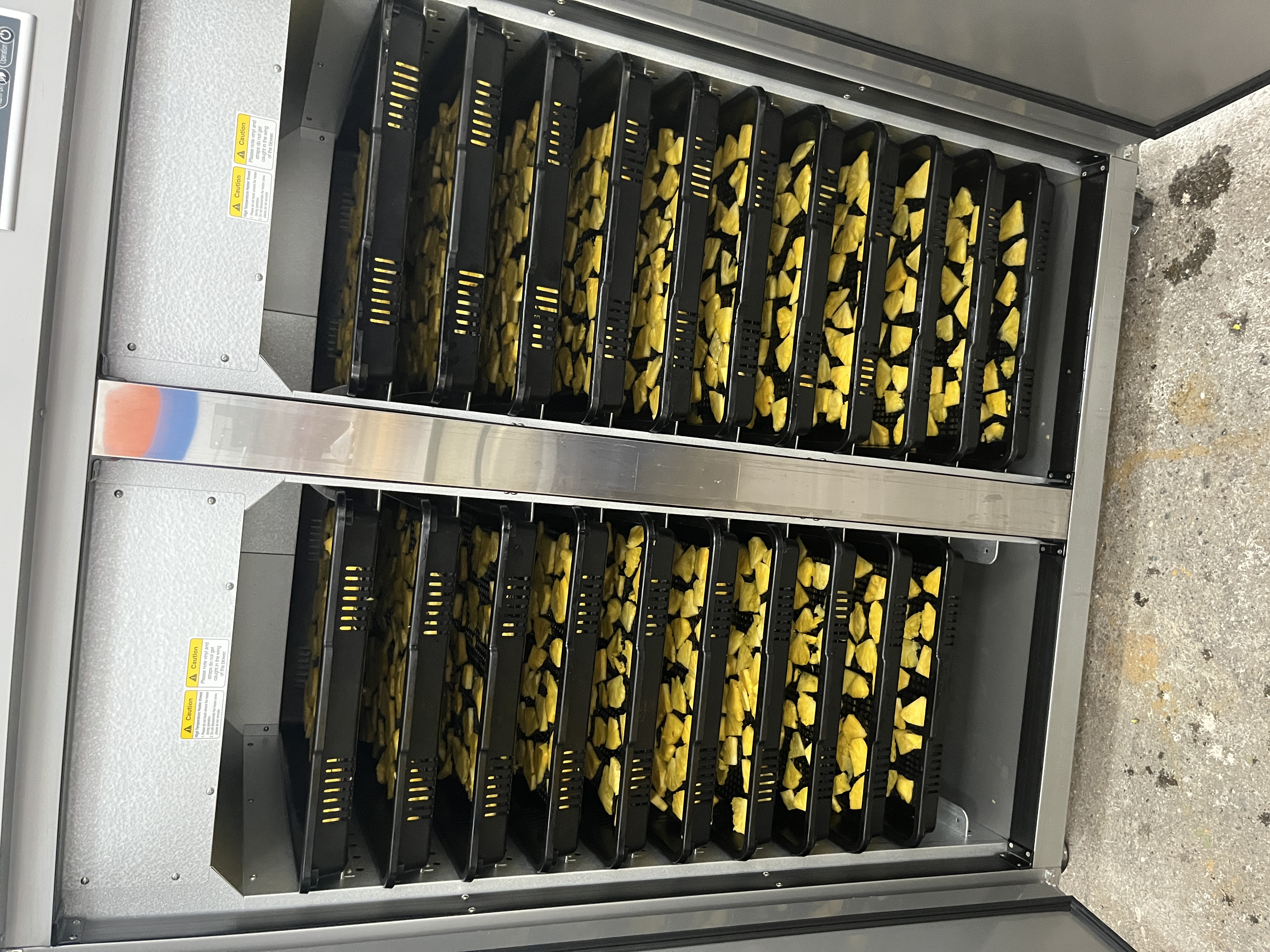 Fruta deshidratada Dorado División