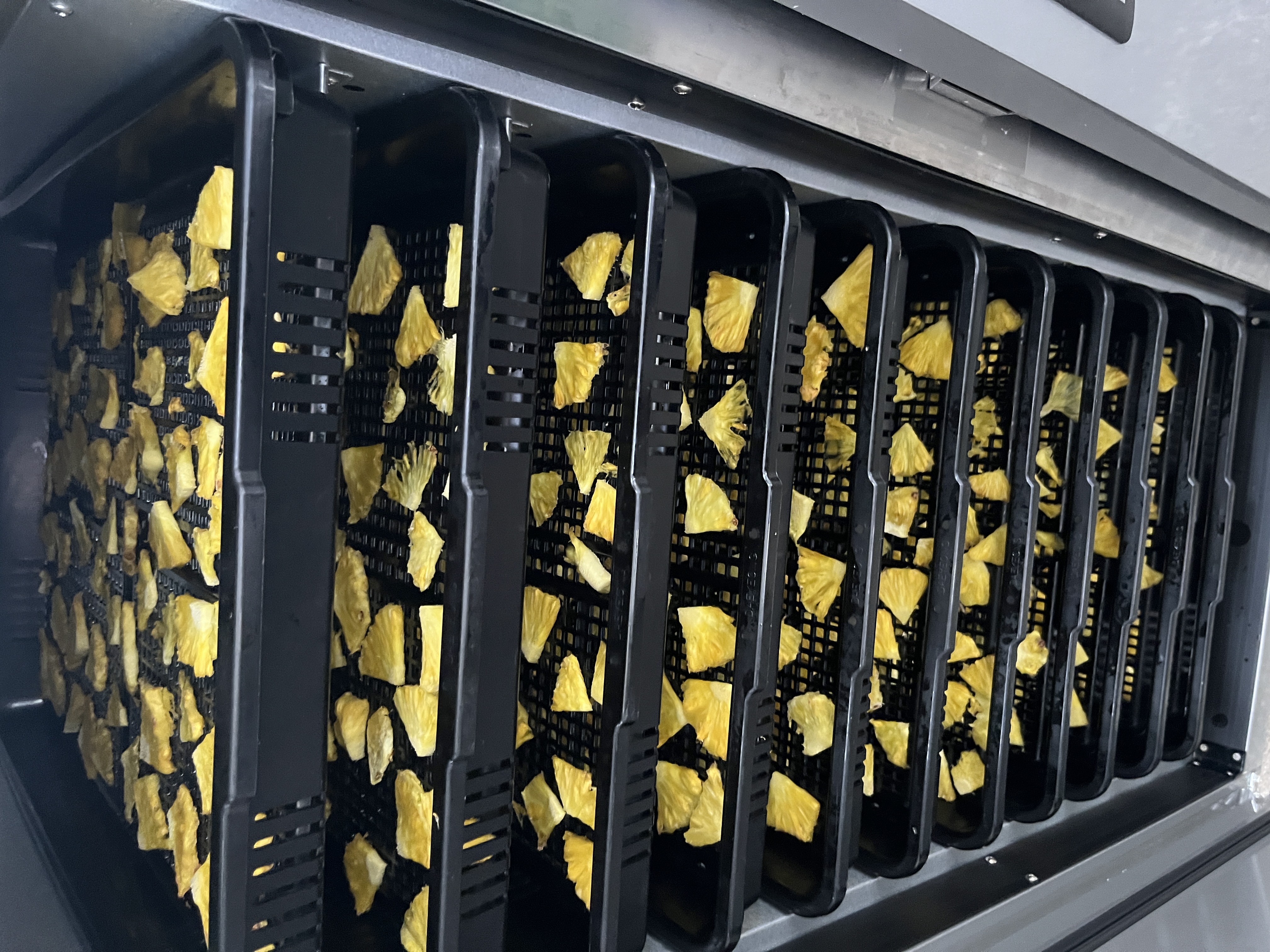 Fruta deshidratada Dorado División