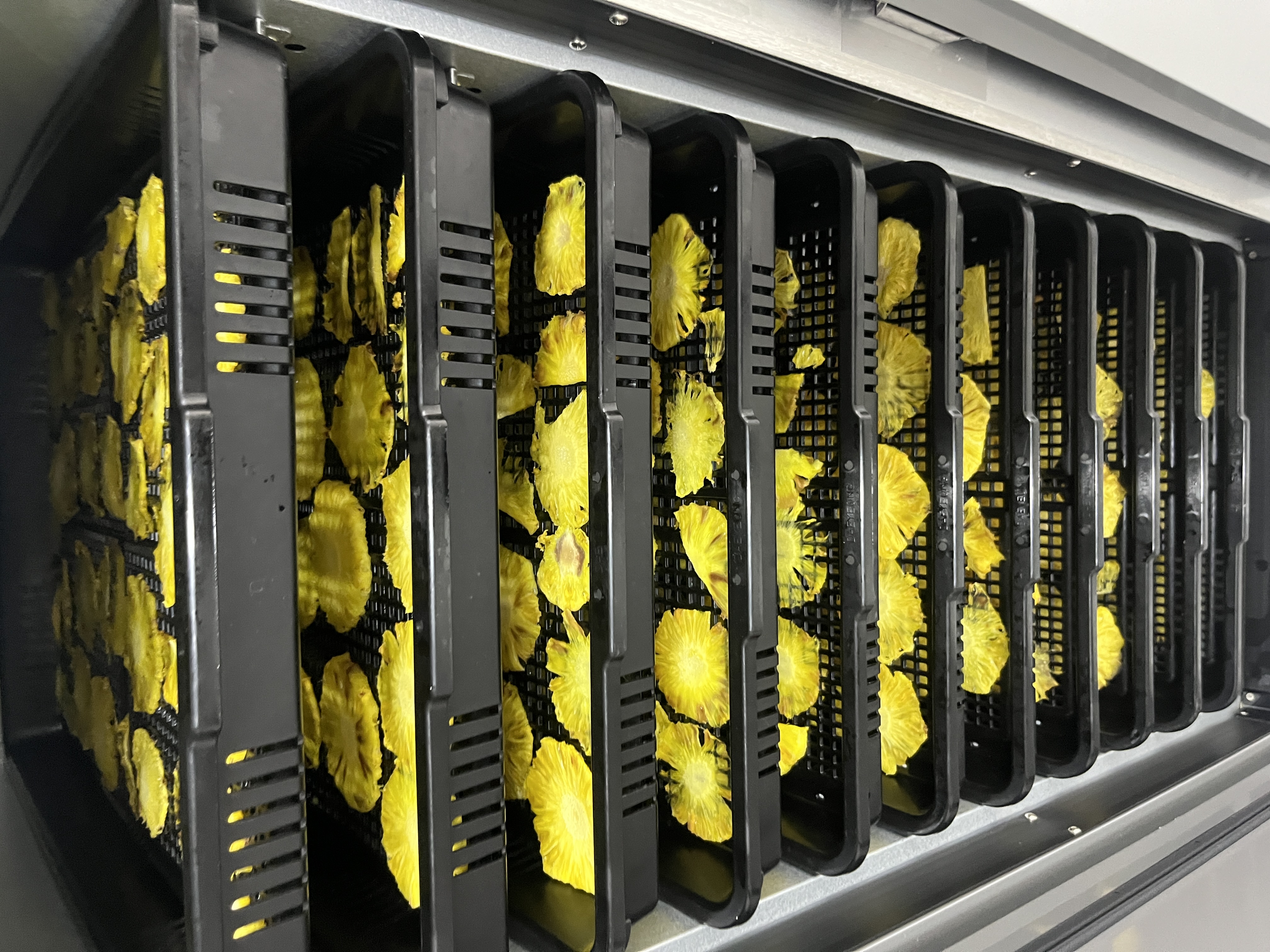 Fruta deshidratada Dorado División