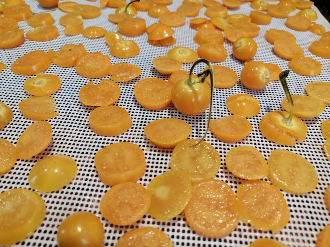 Fruta deshidratada Dorado División