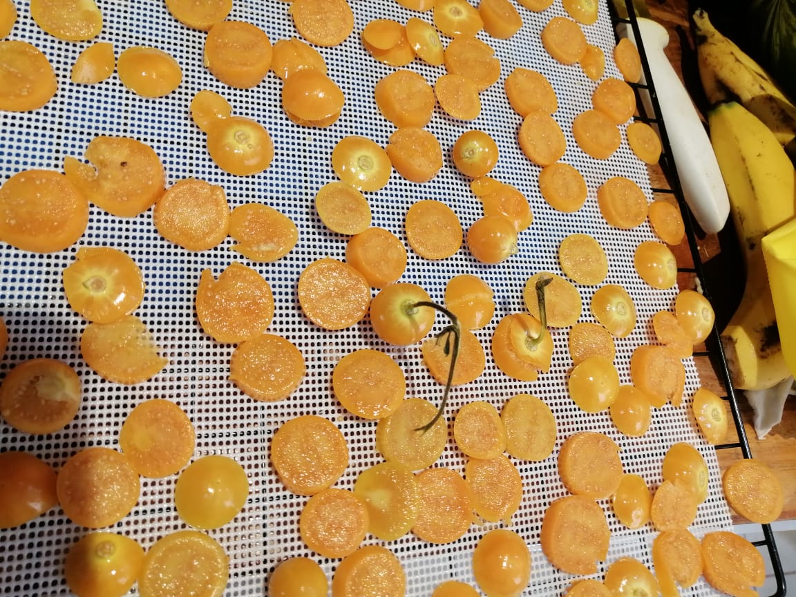 Fruta deshidratada Dorado División