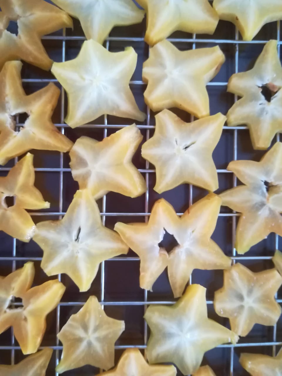 Fruta deshidratada Dorado División