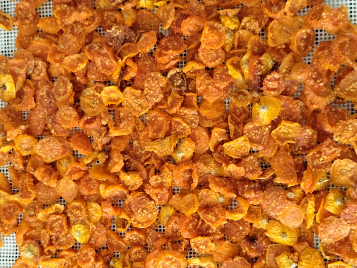 Fruta deshidratada Dorado División